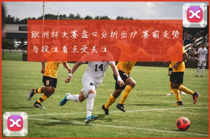 欧洲杯决赛盘口分析出炉 赛前走势与投注看点受关注