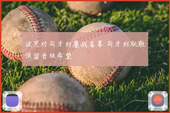 波黑对匈牙利鏖战落幕 匈牙利取胜保留晋级希望