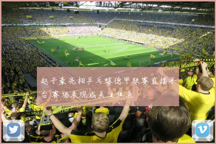 赵子豪亮相乒乓球德甲联赛直播平台 赛场表现成关注焦点