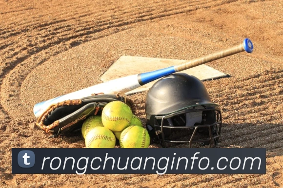 世界杯官网登录appAPP 封面图